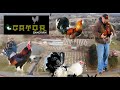 Gator Gamefarm (Part 1)