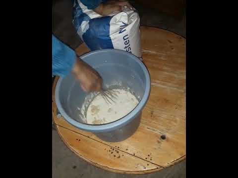 استعمال الحليب المجفف لتغدية العجل