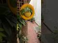 GEN Z Toxic LOVE ‘na Ithu Vaa | cat rocked biker shocked #worrisome