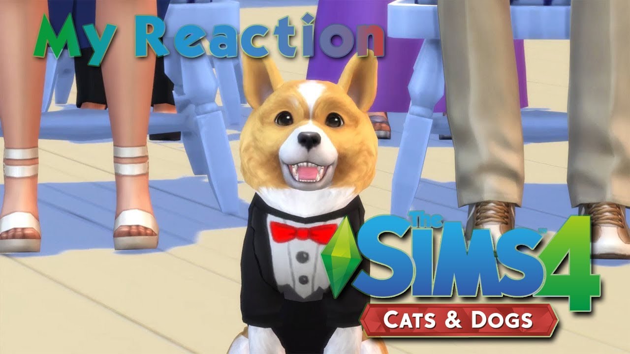 the sims 4 cats and dogs crack