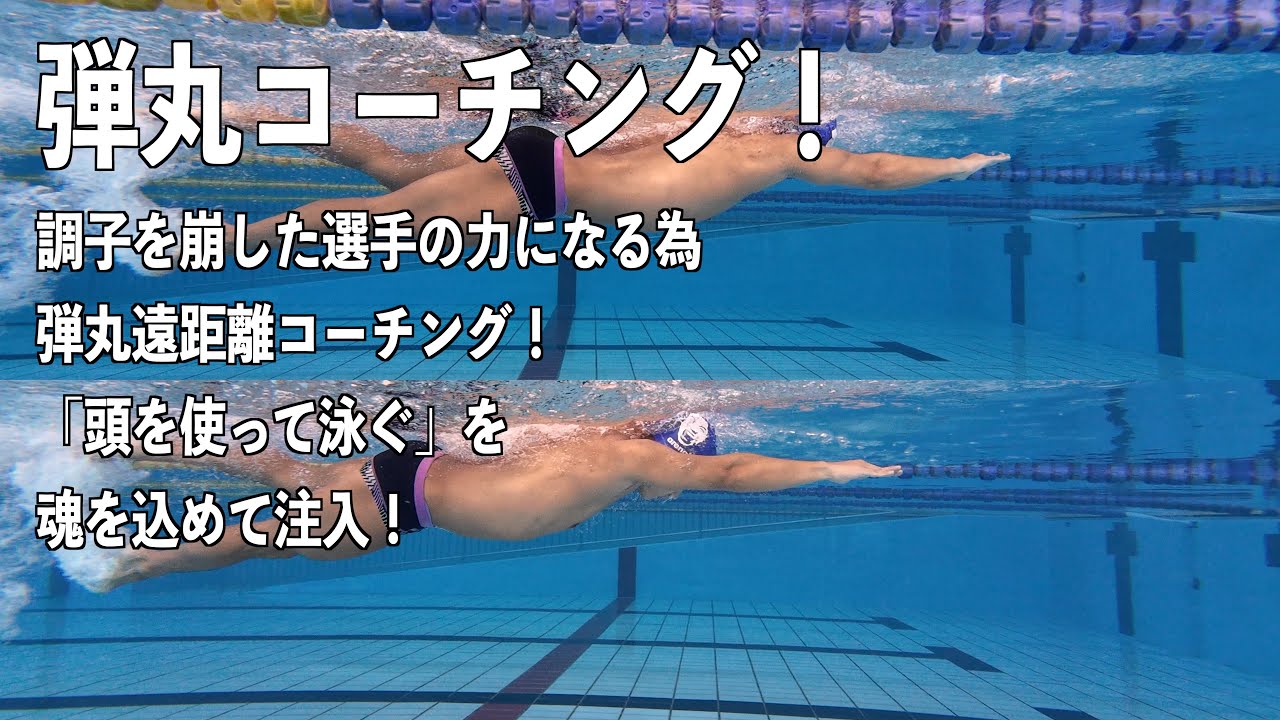 ☘️【無料匿名配送】スイミング・ファステスト 水泳コーチ必携のバイブル ☘️【無料匿名配送】スイミング・ファステスト 水泳コーチ必携