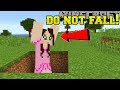 Minecraft: *NEVER* FALL IN HOLES! - THE WEIRD HOLES! - Custom Map