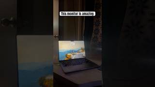 Most amazing monitor find for my desktop office set up #office #tech