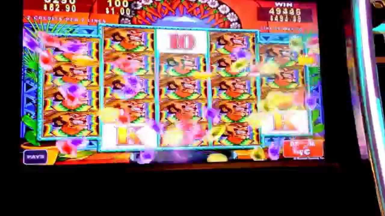 Jogos de casino gratis caca niqueis 5ive Liner Jogos de casino gratis caca niqueis 5ive Liner