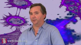 The Neurobiology of Love (8 of 8)