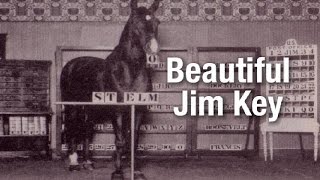 Beautiful Jim Key  - the world's smartest horse