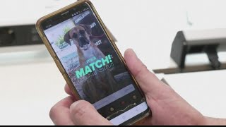 Animal shelter making Tinder profiles for animals in hope they will find love