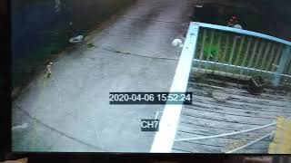 EMP Neighbor Signal Jamming Security Camera INTERFERENCE  Crime 33853