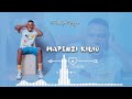 Chidy Pengo MAPENZI KILIO Official Audio
