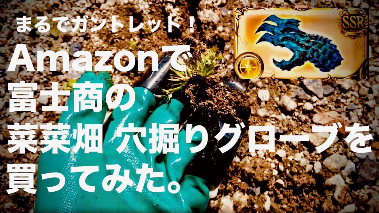 Amazonで富士商の菜菜畑 穴掘りグローブを買ってみた Youtube