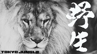 【単発】 GWだしちょっと野生に帰ります「TOKYO JUNGLE」