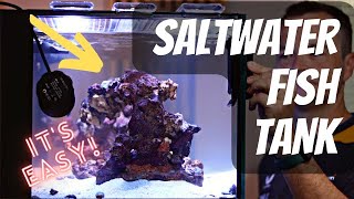 How to Set up a Saltwater Fish Tank!