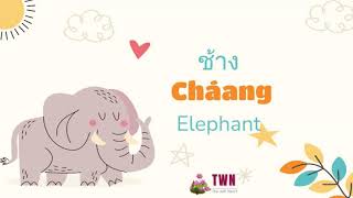 NR: Elephant ช้าง