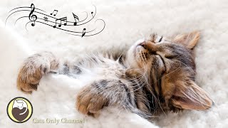 Cat Music - Stress Relief, Anxiety Relief, Relaxation Music (with cat purring sounds)