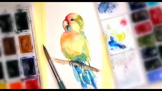 Let's paint a watercolor PARROT together🎨