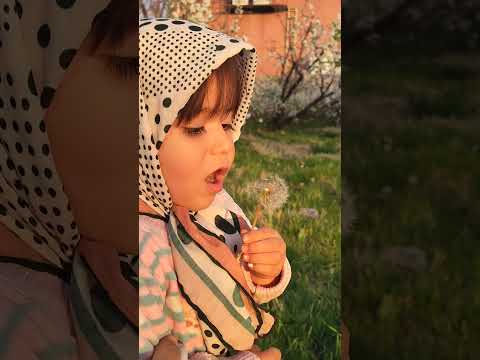 اونقدرقشنگ نباش که من هرروز برات بمیرم زیبای عمه برادرزاده بلاگر 99