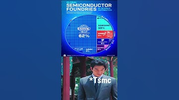 World’s Biggest Semiconductor Chip Makers 🌍