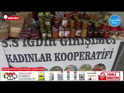 ⭐️ Iğdır Girişimci