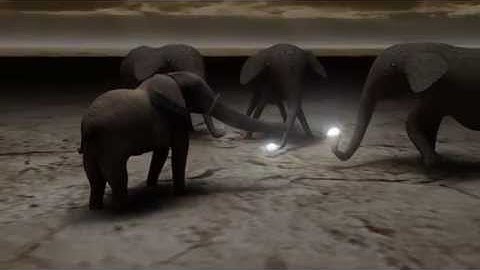 ANIMATION using Autodesk MAYA : story of the Gajah and Elephants