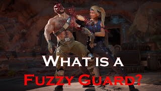 What is a Fuzzy Guard in MK11 Fuzzy guarding explained in 1 minute - Mortal Kombat 11 University