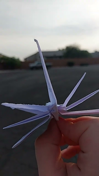 Origami fighter jet (HD85507B) Flight demonstration
