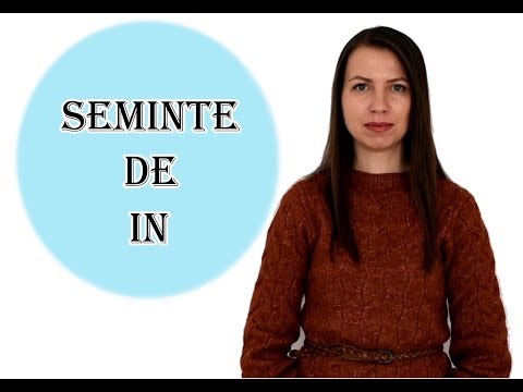 Video: De Ce Sunt Semințele Utile și Periculoase?