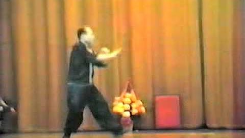 Master Y C Wong: pakua & hsing yi demo