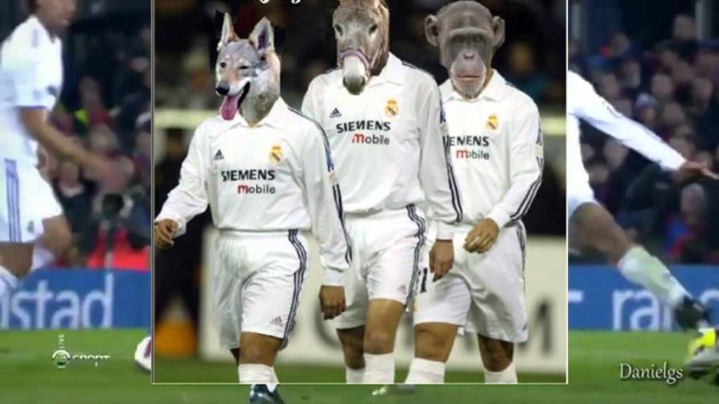 Реал мадрид прикольные Реал мадрид прикольные