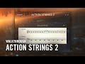 ACTION STRINGS 2 Walkthrough | Native Instruments