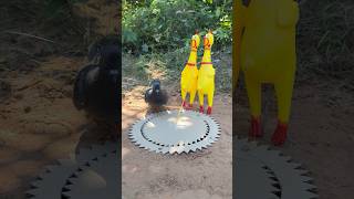Amazing Unique DIY Pigeon Trap Using Box #survival #Outdoors #bushcraft #fyp #followme