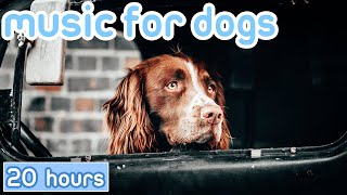 DOG MUSIC: Calming Music for Car Rides! [20 Hours]