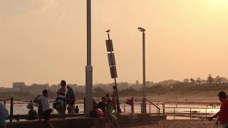 A Day In Mona Vale Beach