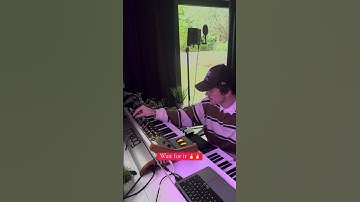 Starting this today, what do you all think? 🤔 #melodictechno #technolovers #moog #moogsub37