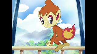 Chimchar and Piplup having a fight while Turtwig eating | Pokemon: Diamond and Pearl Clip