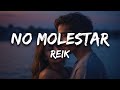 Reik No Molestar Letra Lyrics mp3