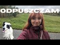 Dlaczego odpuszczam najnowszego Battlefielda ?  | Baba Leśna