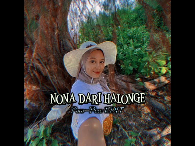 POCO - POCO _ NONA DARI HALONGE (SAHDINSRHNEDIT) class=