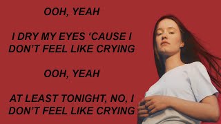 Sigrid - Don't Feel Like Crying (Lyrics)