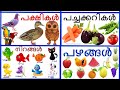 Birds namesvegetable names colours names fruits name malayalam and english prinitmalayalam