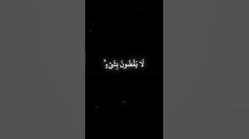 سوره غافر بصوت الشيخ ياسر الدوسري شاشه سوداء قران............