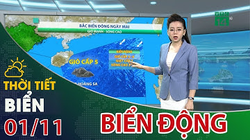 Thời tiết biển 01/11/2021: Không khí lạnh gây biển động thêm 2 ngày nữa| VTC14