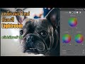 อัพเดตใหญ่! วิธีใช้Color Gradingใน LR | ผลไม้classroom