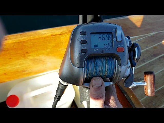 Shimano 3000H Dendou Maru Electric Reel