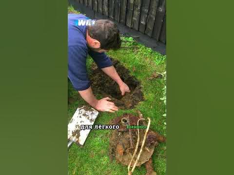 Успешная находка в огороде 😱🤯 - YouTube