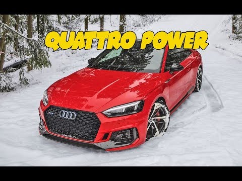 Quattro AUDI vs Snow