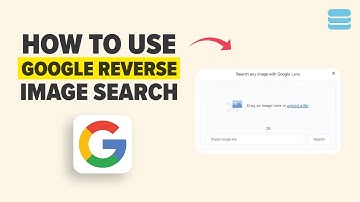 How to Use Google Reverse Image Search on Mobile App 2026 Full Tutorial Guide
