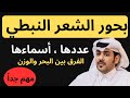 بحور الشعر النبطي كم عددها وأسماءها والفرق بين البحر والوزن