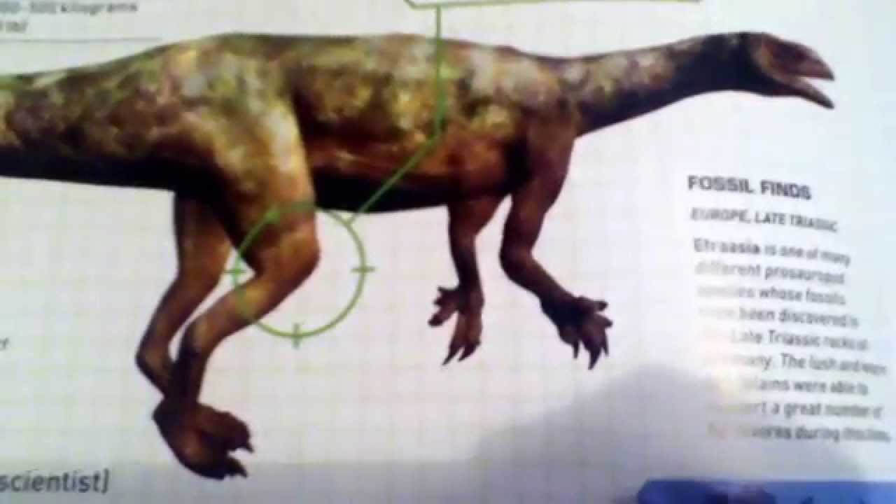 Field Guide To Dinosaurs 4 Efraasia YouTube