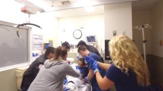 Penn Medicine Mannequin Challenge - Security