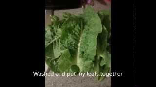 Cooking Celtuce